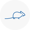 Mice Exterminators In Newton Abbot